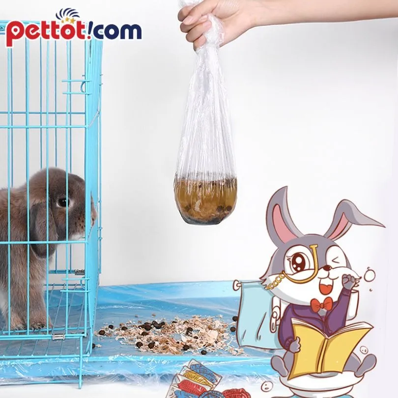 Túi Vận Chuyển Dạng Hộp Nhựa an toàn