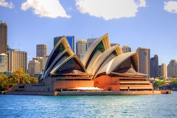 Chuột Túi Sinh Con: Toàn Bộ Quá Trình Sinh Sản Và Phát Triển Độc Đáo Của Kangaroo