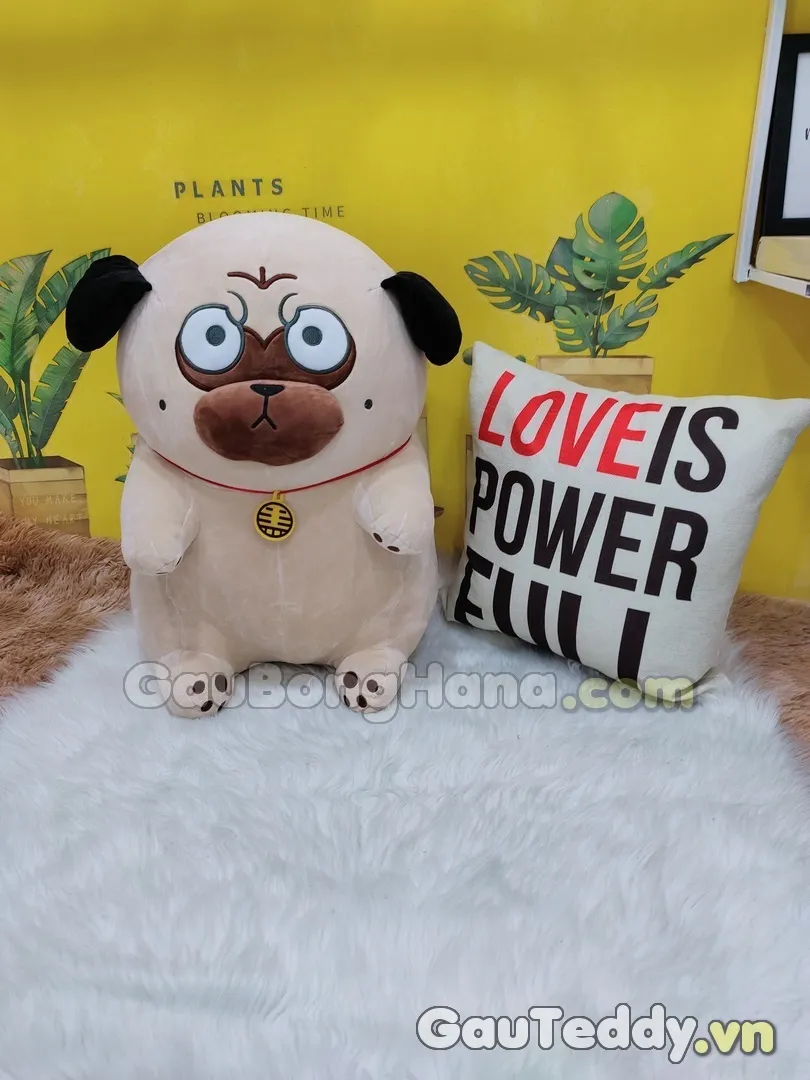 Vật tư y tế cần thiết khi nuôi chuột hamster Vũng Tàu: Sẵn sàng xử lý các bệnh thường gặp