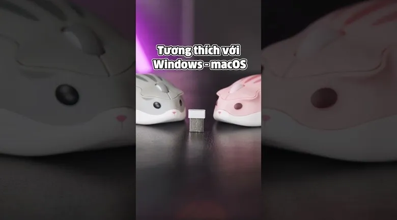 Chuột Hamster Máy Tính Akko Plus: Phân Tích Chuyên Sâu Về Thiết Kế Và Công Nghệ Không Dây
