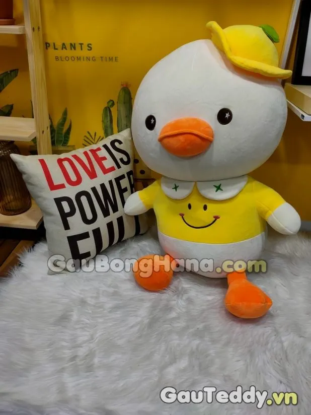 Vịt Bông Đội Nón