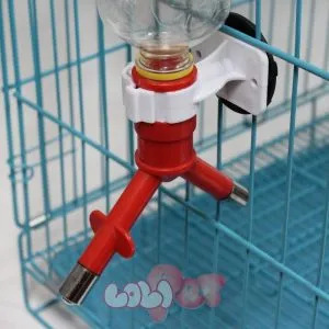 Vòi bi treo chuồng đôi, cung cấp nước sạch liên tục cho chuột lang