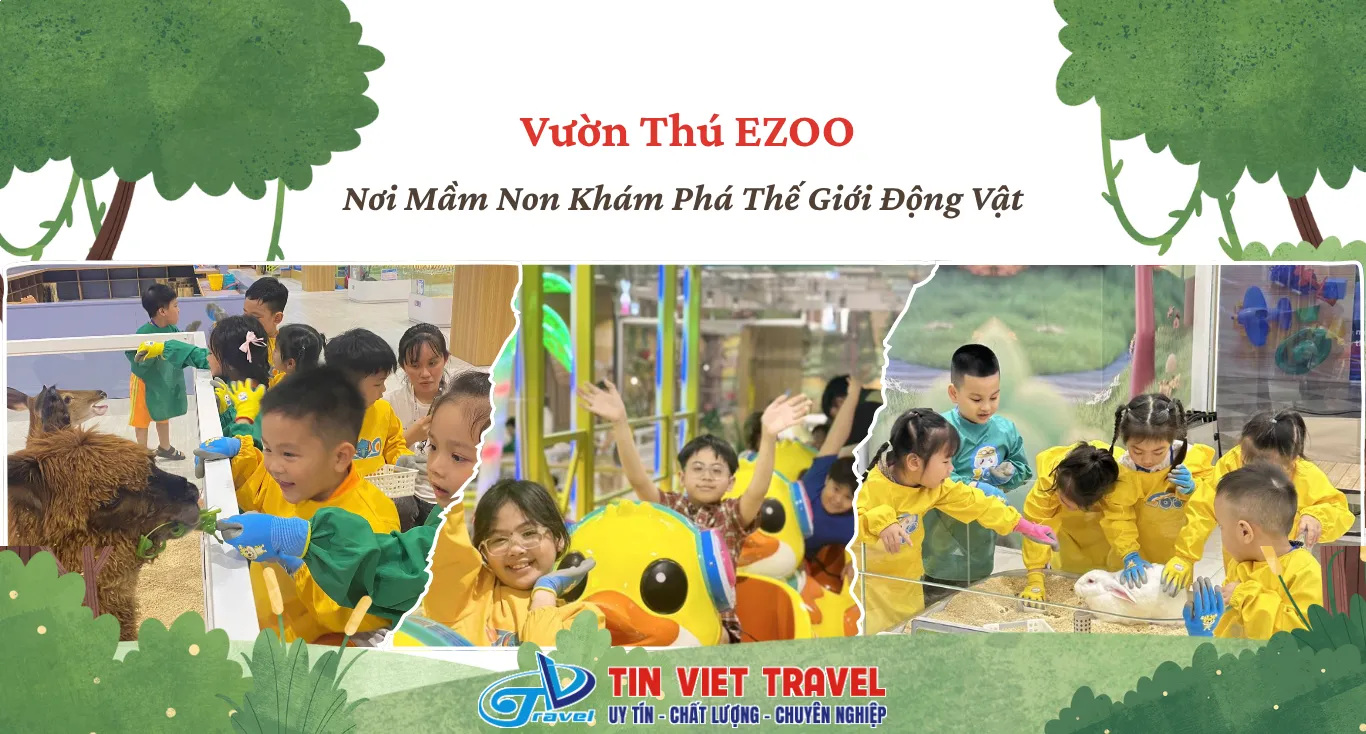 Nơi Bán Đồ Ăn Cho Chuột Hamster Ở Quy Nhơn Chất Lượng Và Uy Tín